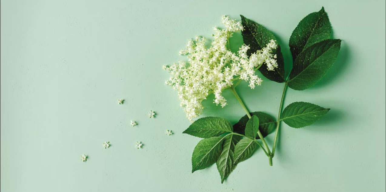 香精與香料(19)-香精的分類、配制與調(diào)和