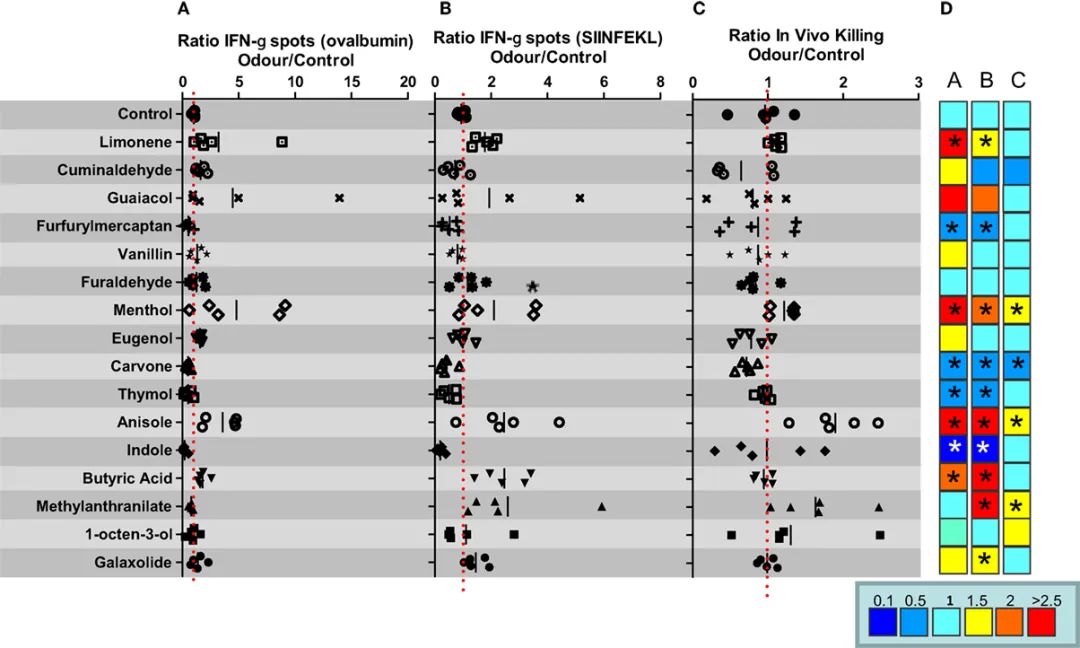香精與香料(47)—香芹酮與葛縷子、留蘭香、蒔蘿