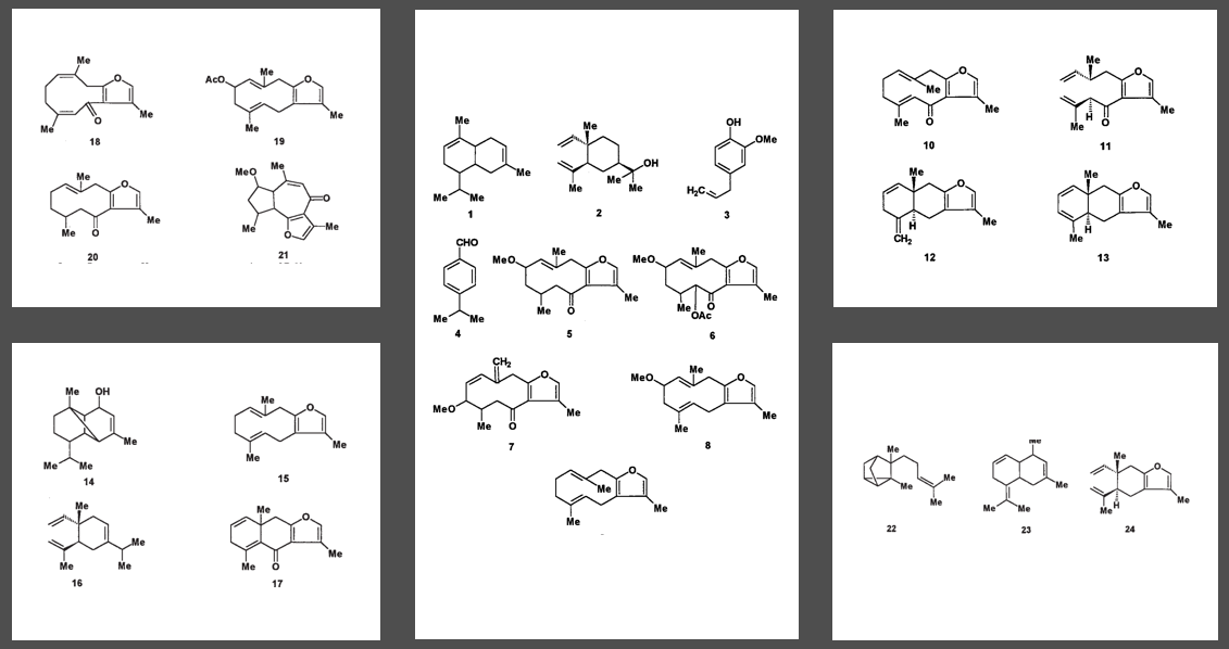 香精與香料(84)—沒(méi)藥香 香精與香料(84)—沒(méi)藥香