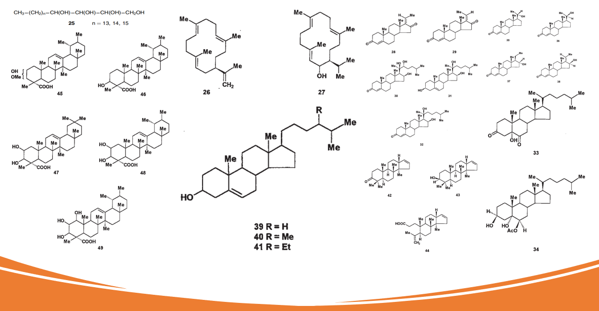 香精與香料(84)—沒(méi)藥香 香精與香料(84)—沒(méi)藥香