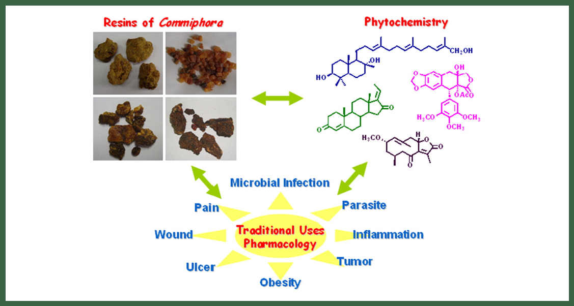 香精與香料(84)—沒(méi)藥香 香精與香料(84)—沒(méi)藥香