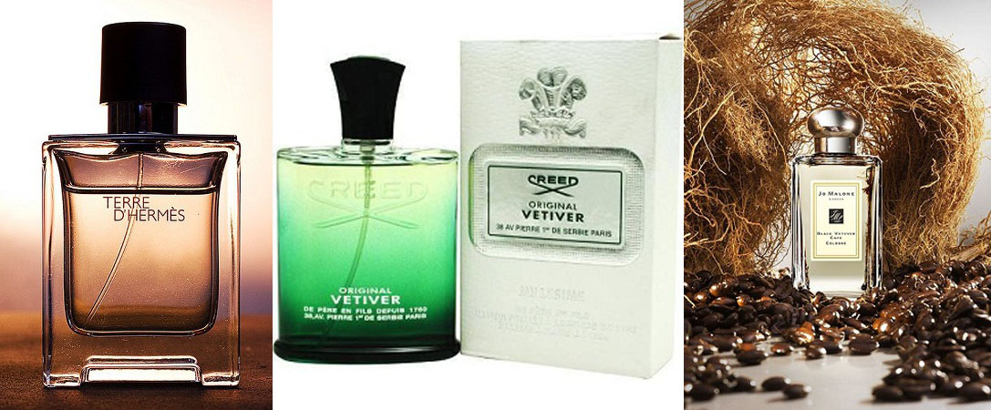 萬能的木質(zhì)香氣—香根草 萬能的木質(zhì)香氣—香根草