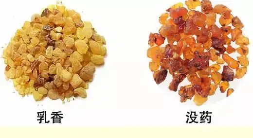 乳香，Boswellia Carterri Birdw 橄欖科