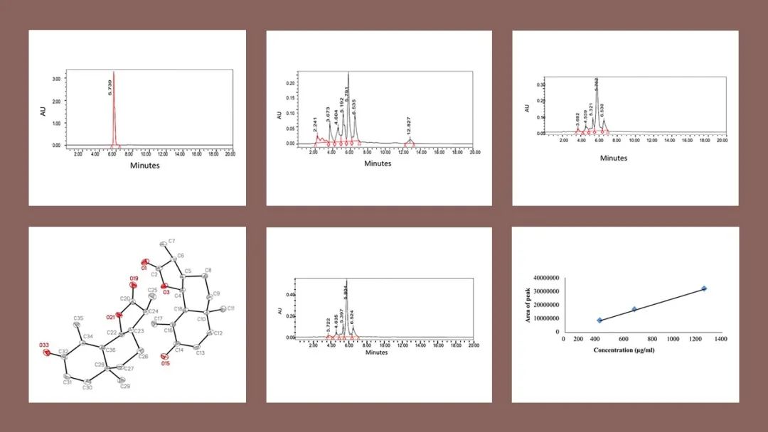 香精與香料(141)—蛔蒿 香精與香料(141)—蛔蒿