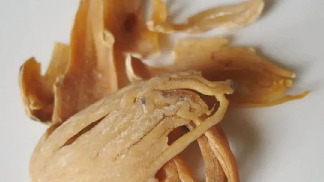 香精與香料(152)—豆蔻 香精與香料(152)—豆蔻