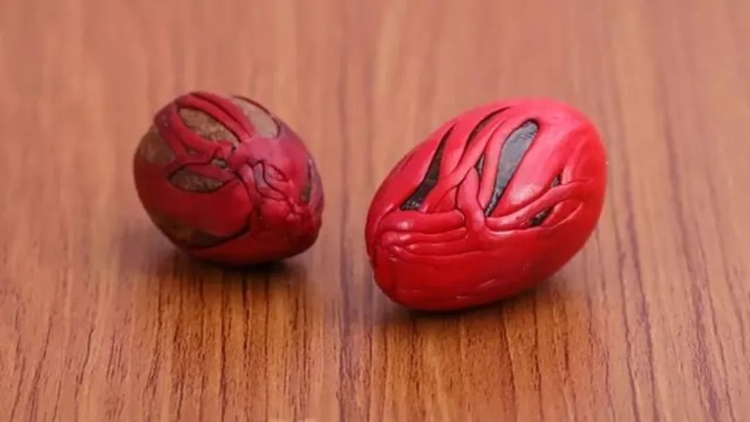 香精與香料(152)—豆蔻 香精與香料(152)—豆蔻