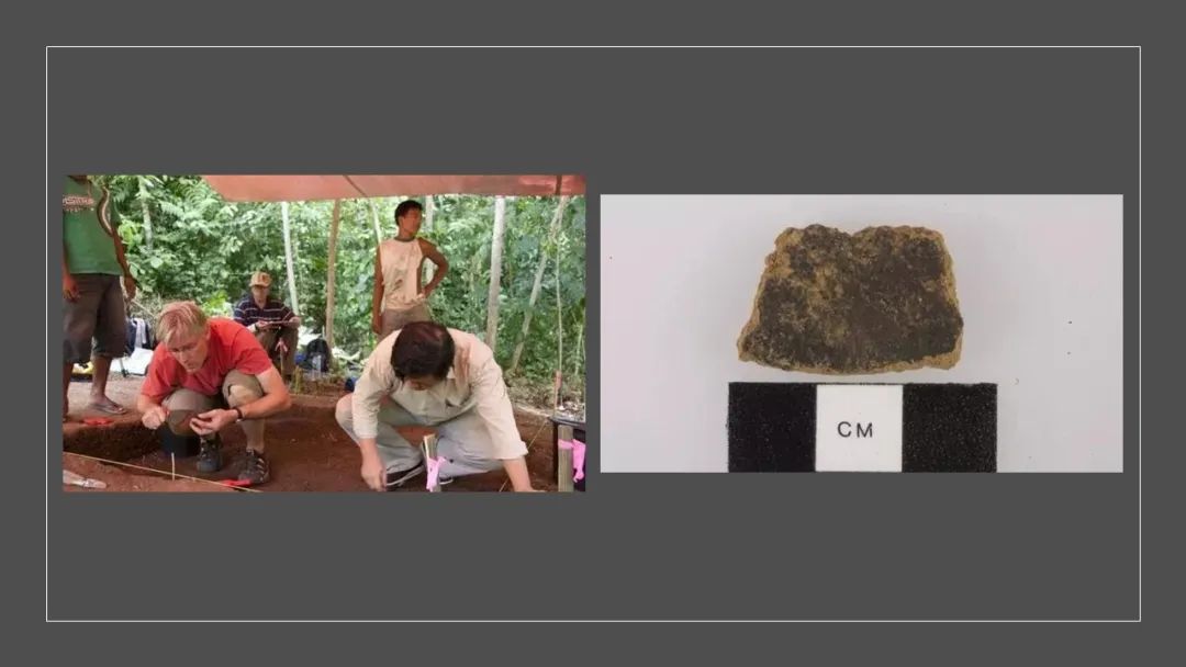 香精與香料(152)—豆蔻 香精與香料(152)—豆蔻