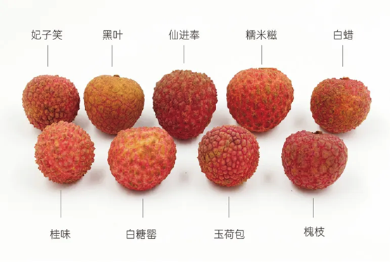 香精與香料(162)—荔枝 香精與香料(162)—荔枝