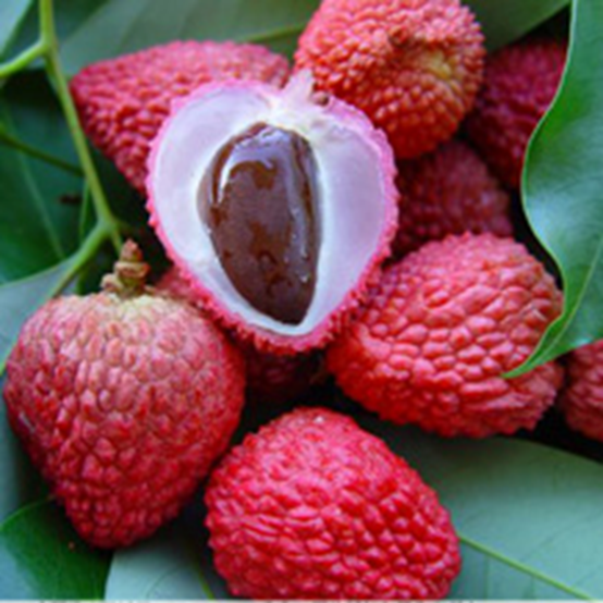 香精與香料(162)—荔枝 香精與香料(162)—荔枝