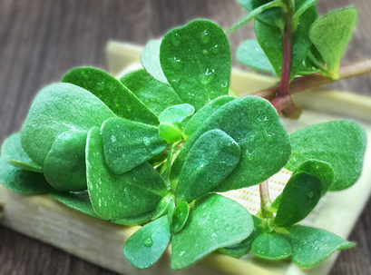 2022年護膚熱門功效成分有哪些？