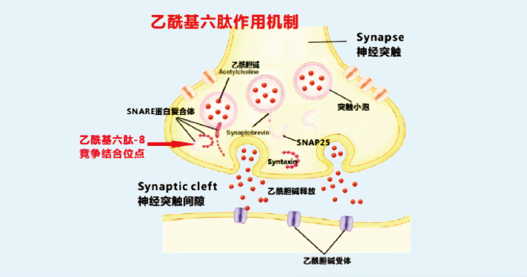 2022年護膚熱門功效成分有哪些？