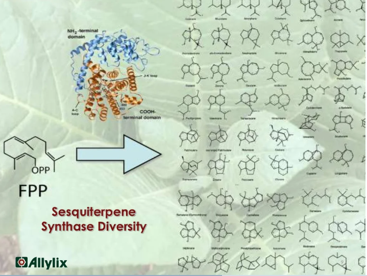 香料香精高新企業(yè)簡介(5)——Allylix 香料香精高新企業(yè)簡介(5)——Allylix