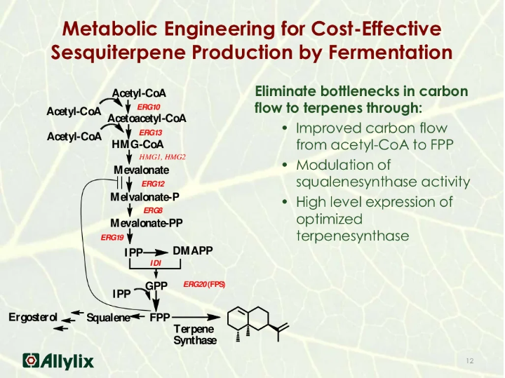 香料香精高新企業(yè)簡介(5)——Allylix 香料香精高新企業(yè)簡介(5)——Allylix