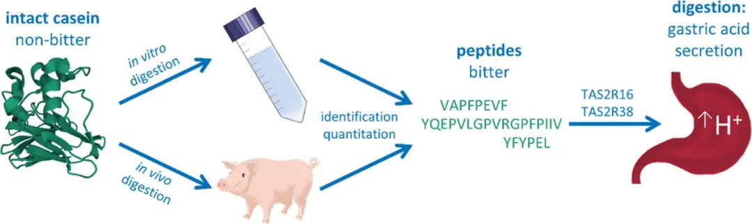 JAFC09052022風(fēng)味文獻(xiàn)速覽 JAFC09052022風(fēng)味文獻(xiàn)速覽