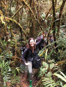 投資于植物保護(hù)的香精配方 投資于植物保護(hù)的香精配方