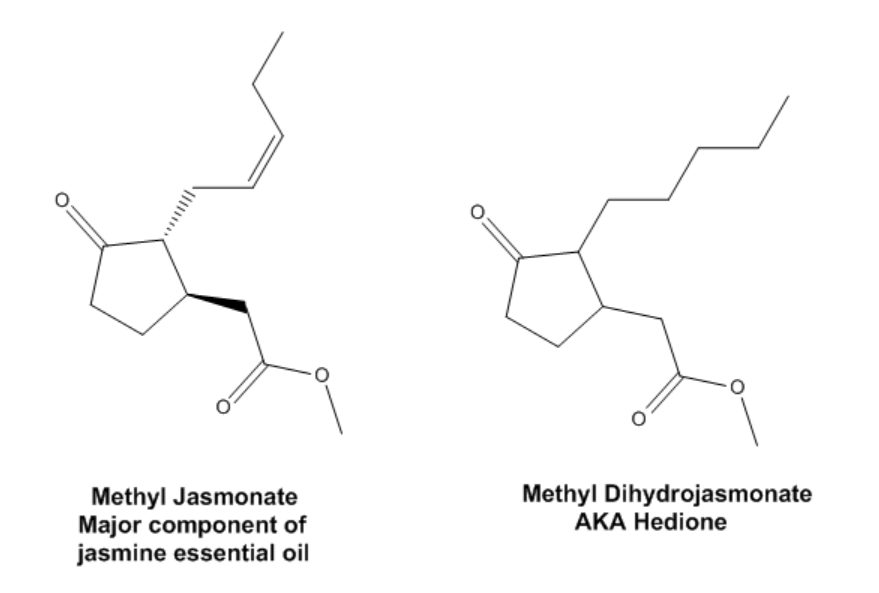 香料筆記：二氫茉莉酮酸甲酯，本身就是一種香水