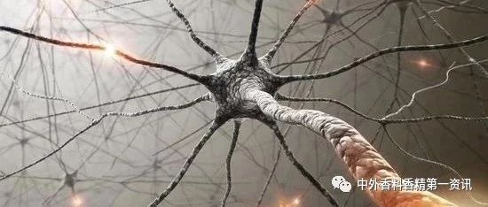 揭開嗅覺(jué)之謎