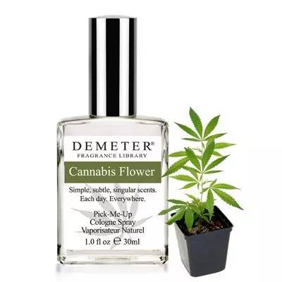 沙龍香水，你了解多少？