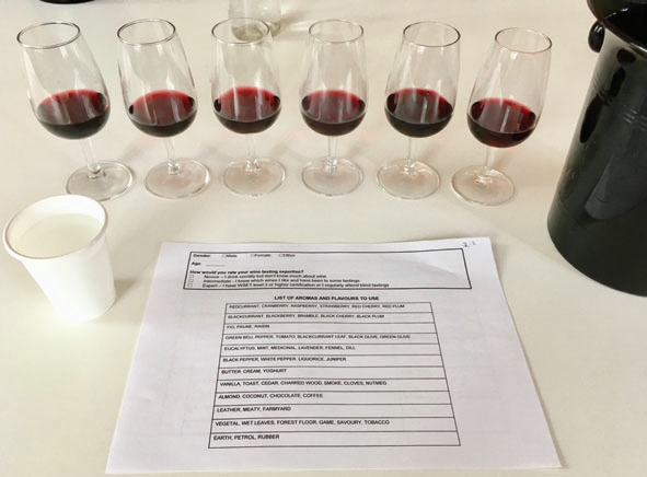 調香筆記(9)——多感官味覺感知:感官內部和感官之間的調和、混合、融合和配對