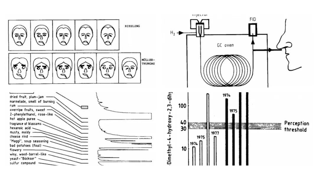 調香筆記(9)——多感官味覺感知:感官內部和感官之間的調和、混合、融合和配對