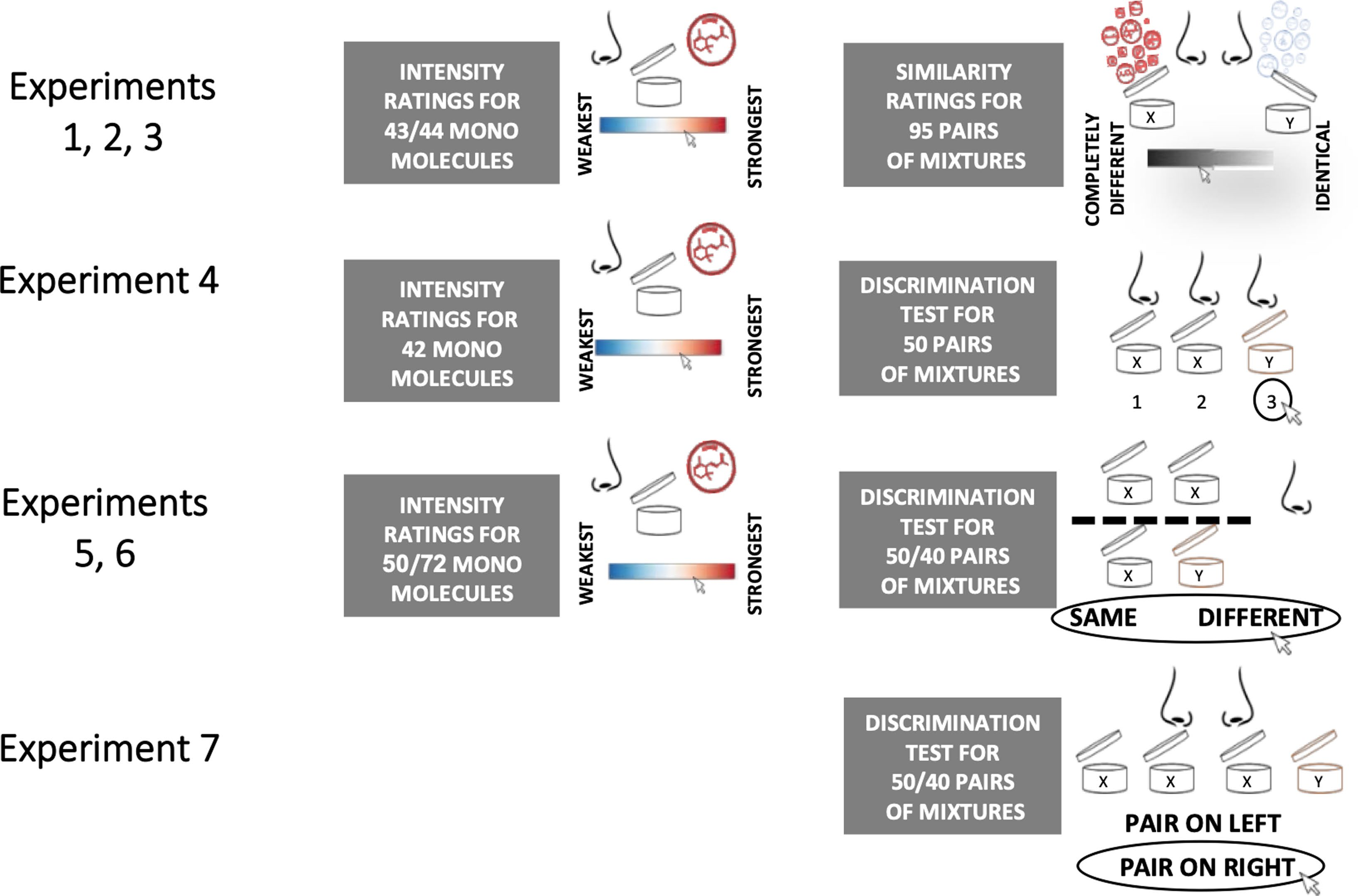 調香筆記(9)——多感官味覺感知:感官內部和感官之間的調和、混合、融合和配對