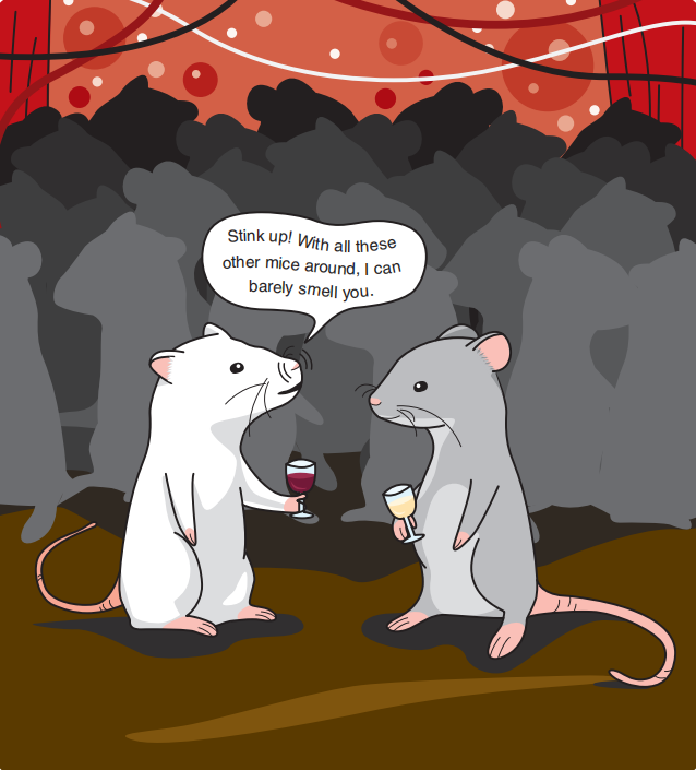 調香筆記(9)——多感官味覺感知:感官內部和感官之間的調和、混合、融合和配對