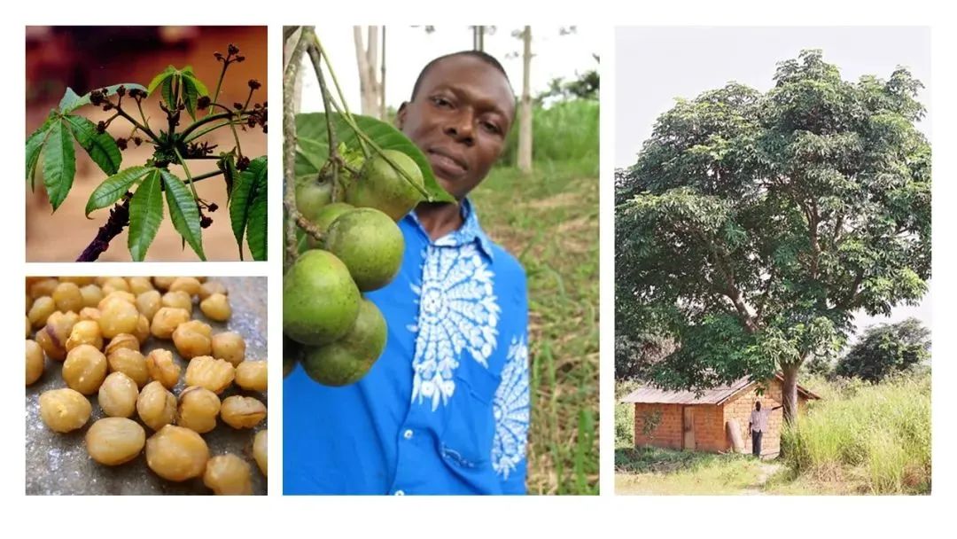 世界地理香料索引(7)—World Geographic Spice Index 世界地理香料索引(7)—World Geographic Spice Index