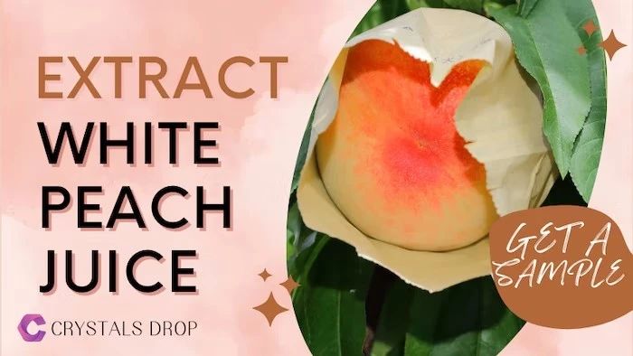 香料香精行業(yè)近期快訊 香料香精行業(yè)近期快訊