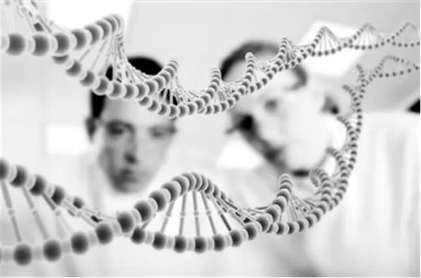 酚類化合物在調(diào)和香精中有什么用途？