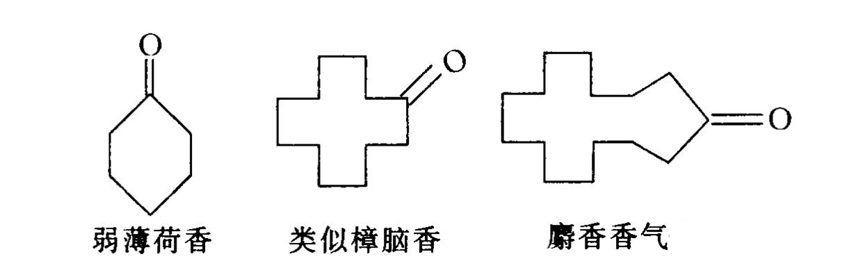 香料的分子結(jié)構(gòu)與香氣的關(guān)系 香料的分子結(jié)構(gòu)與香氣的關(guān)系