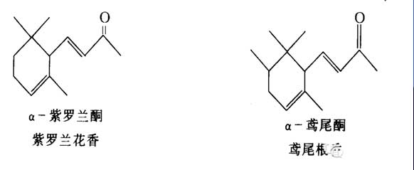 香料的分子結(jié)構(gòu)與香氣的關(guān)系 香料的分子結(jié)構(gòu)與香氣的關(guān)系