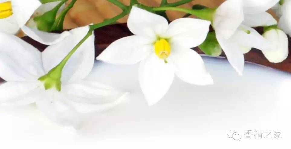 一款香水里有多少成分才足夠？