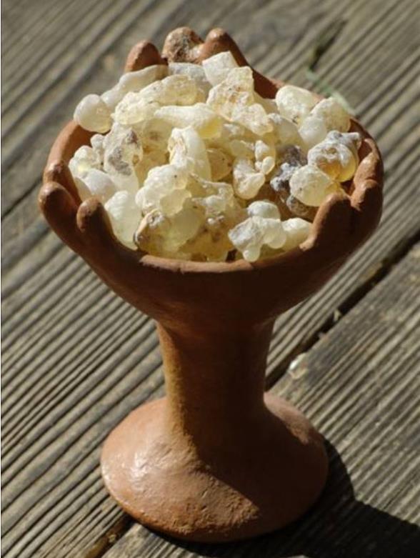 古代用途廣泛的乳香制品 古代用途廣泛的乳香制品