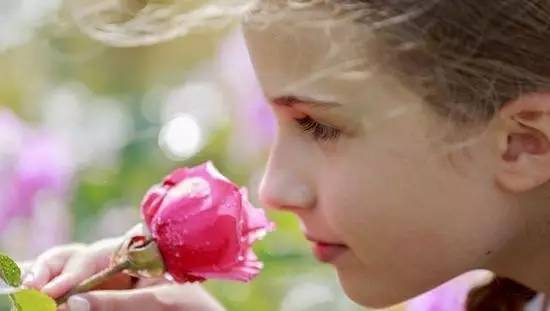 氣味的基本概念與基本學(xué)說 氣味的基本概念與基本學(xué)說