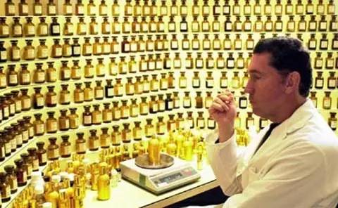 再論鑒別香氣性能的重要性 再論鑒別香氣性能的重要性