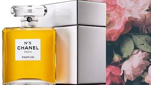 一瓶香水里究竟用了多少朵玫瑰？