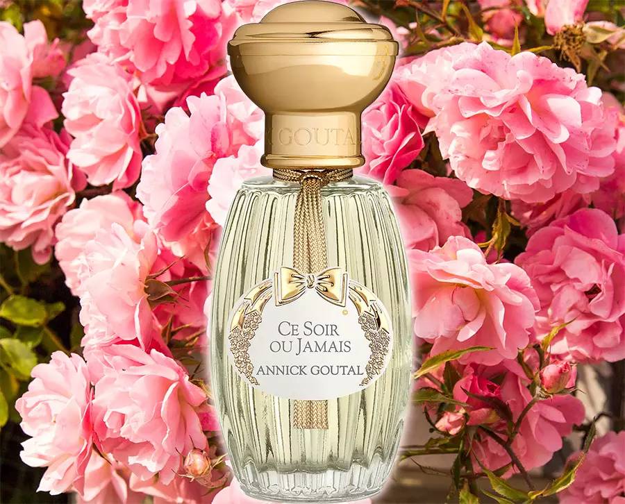 一瓶香水里究竟用了多少朵玫瑰？