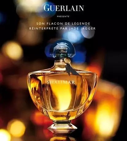 陽光中的“佛手柑”，在拿破侖時(shí)期風(fēng)靡“全城”