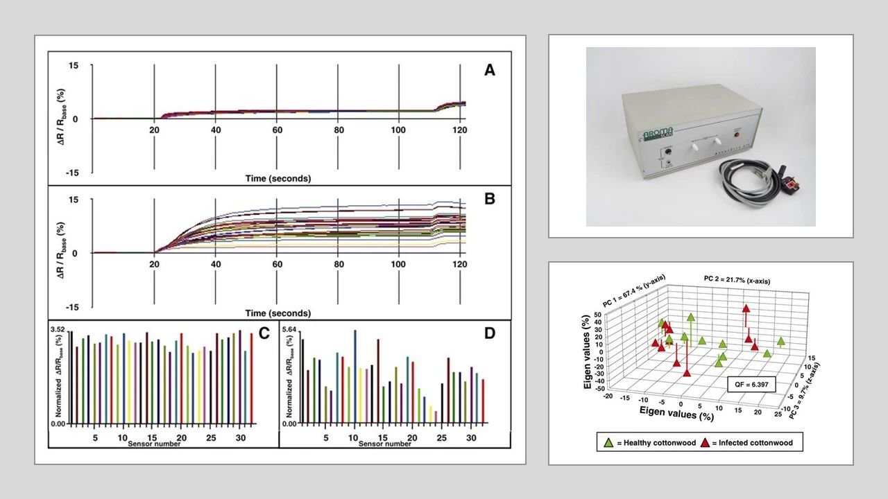 嗅探新的香氣技術(shù) 嗅探新的香氣技術(shù)