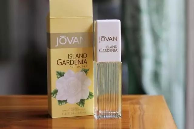 梔子花|4月過半，純白季即將來襲，請你穿上“梔子花”入夢！