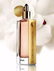 梔子花|4月過半，純白季即將來襲，請你穿上“梔子花”入夢！