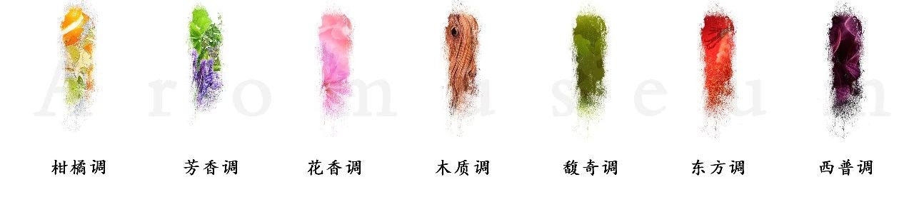 為什么有人一身果香，有人卻一身藿香？