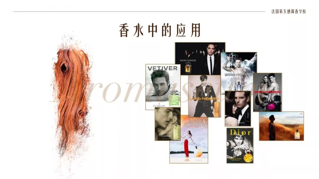 為什么有人一身果香，有人卻一身藿香？