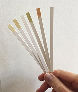 ?香水創(chuàng)作過(guò)程:從靈感到發(fā)布