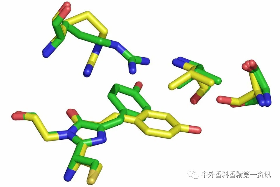 香氣與色彩的關系 香氣與色彩的關系