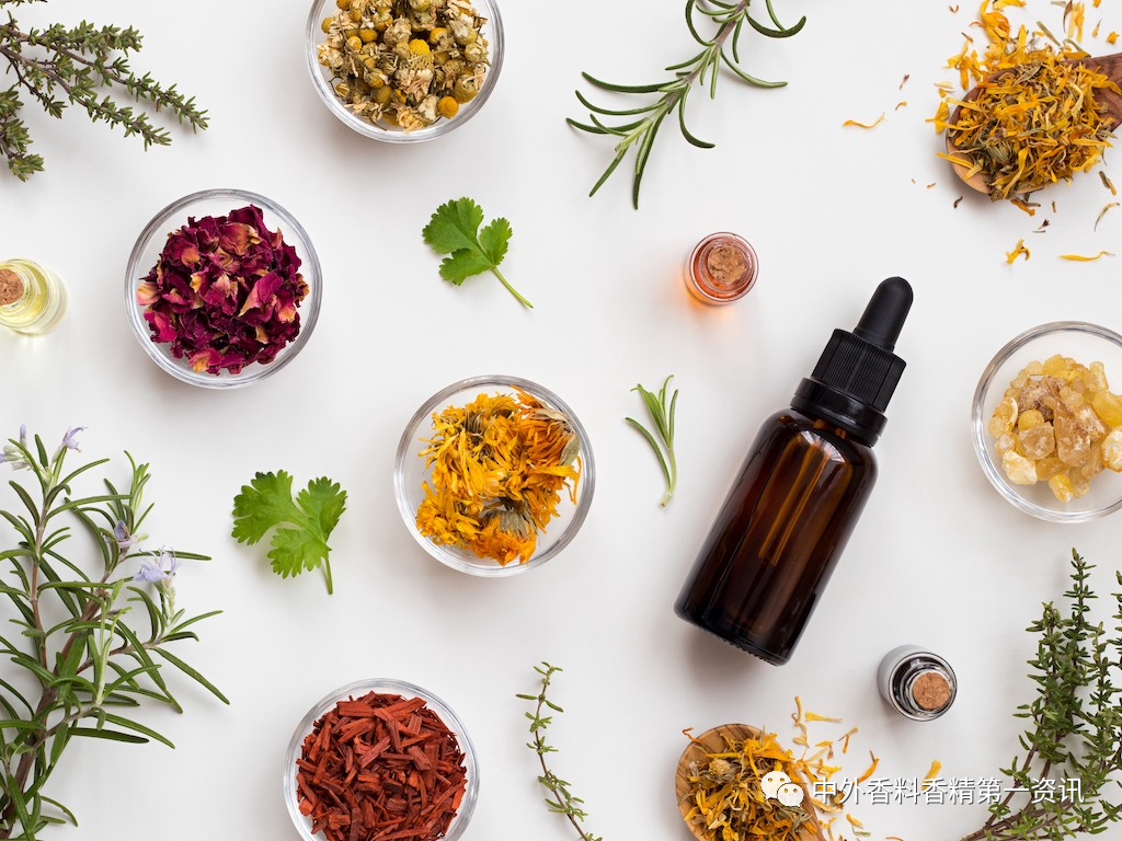 香氣與色彩的關系 香氣與色彩的關系