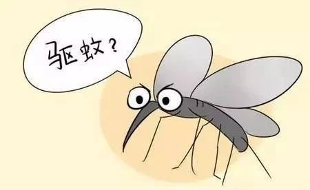 夏天來了，驅(qū)蚊的香料有哪些