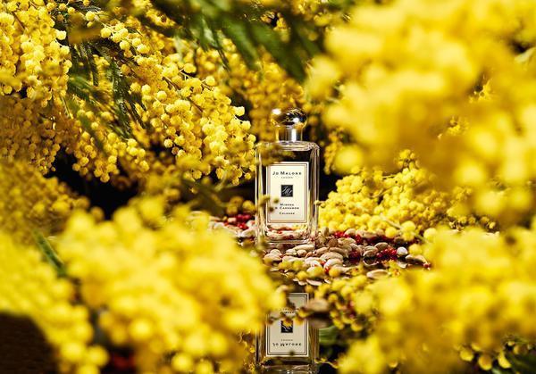 祖瑪瓏最值得買的6款香水！香水界白蓮花，它是初戀的味道